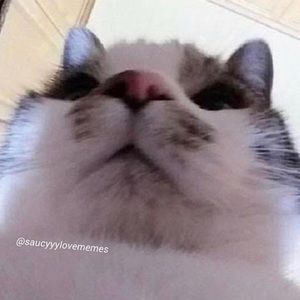 Meet your Posher, Caleb